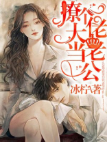 撩个大佬当老公