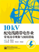 10kV配电线路带电作业常见违章现象与预防措施