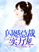 闪婚总裁实力宠