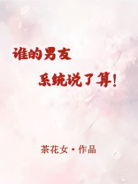 男友共享系统