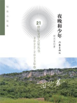 夜晚和少年