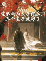 重生成为太子妃后，三个皇子破防了