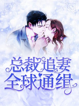 总裁追妻，全球通缉