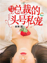 撩妻上瘾：总裁的头号私宠