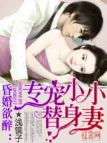 专宠小小替身妻