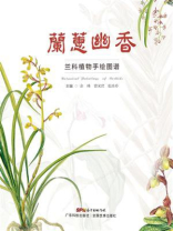 兰蕙幽香：兰科植物手绘图谱