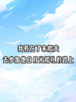我死在了未婚夫去参加他白月光婚礼的路上