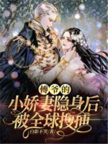 傅爷的小娇妻隐身后被全球搜捕