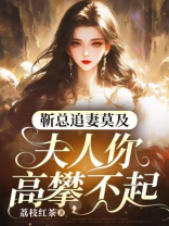 靳总追妻莫及，夫人你高攀不起