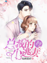 宠爱至上，总裁的小逃妻