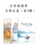 少年读国学：文学之美（全3册）