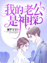 我的老公是神探