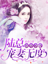 强势夺爱：陆总宠妻无度