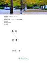 白银落地