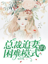 总裁追妻的困难模式
