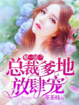 娶一送一：总裁爹地放肆宠