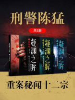 凝渊之眸：刑警陈猛重案秘闻十二宗（全3册）