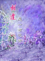 相逢是一树花开