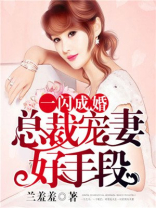 一闪成婚：总裁宠妻好手段