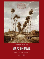 漫步遐想录