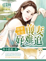 甜婚涩爱 甜婚涩爱