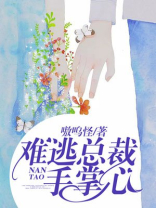 难逃总裁手掌心