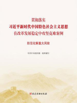 贯彻落实习近平新时代中国特色社会主义思想在改革发展稳定中攻坚克难案例：防范化解重大风险