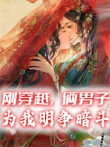 刚穿越，俩男子为我明争暗斗