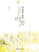 你来到了我的时光