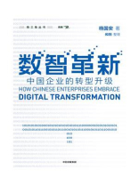 数智革新：中国企业的转型升级