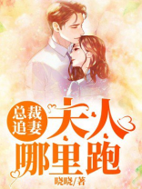 总裁追妻：夫人，哪里跑！