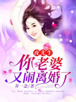 夜先生，你老婆又闹离婚了！
