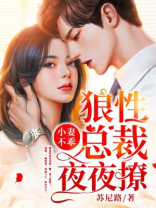 小妻不乖：狼性总裁夜夜撩