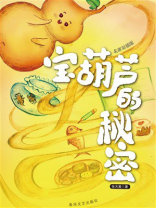宝葫芦的秘密