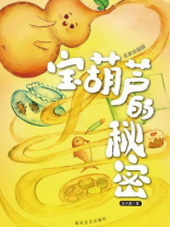 宝葫芦的秘密
