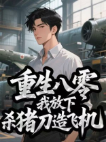 重生八零我放下杀猪刀造飞机