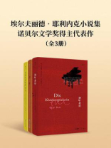 埃尔夫丽德·耶利内克小说集：诺贝尔文学奖得主代表作（套装共3册）