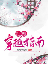 红娘穿越指南