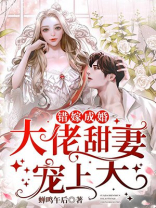 错嫁成婚：大佬甜妻宠上天