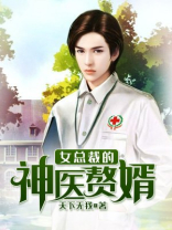女总裁的神医赘婿