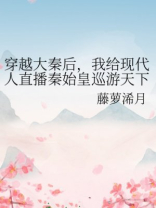 穿越大秦后，我给现代人直播秦始皇巡游天下