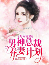 九零宠婚：男神总裁养妻计划