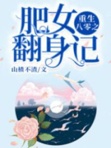 重生八零之肥女翻身记