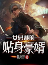 女总裁的贴身豪婿