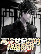 高冷女总裁的极品赘婿