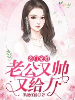 名门宠婚：老公又帅又给力