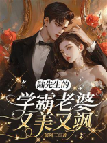 陆先生的学霸老婆又美又飒