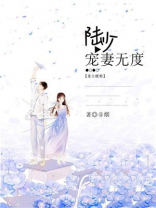 重生暖婚：陆少宠妻无度