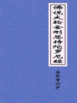 佛说大轮金刚总持陀罗尼经