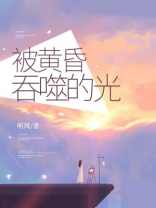 被黄昏吞噬的光